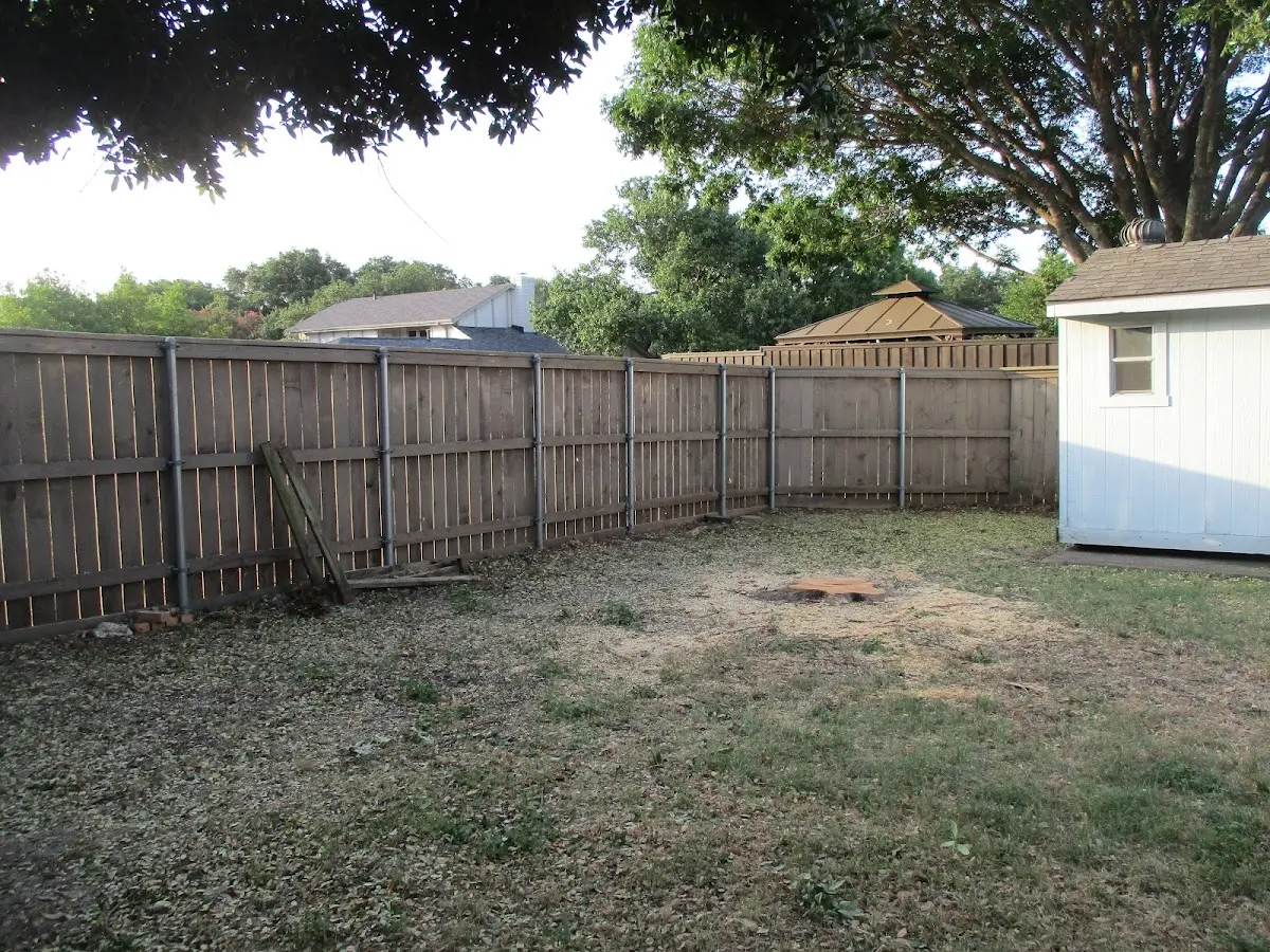 Cleared yard after professional tree removal in Mount Gretna